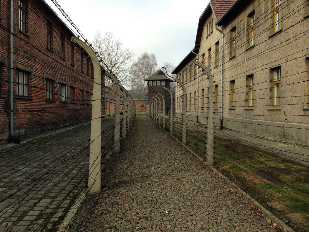 Auschwitz / Birkenau Tour — Krakow Taxi
